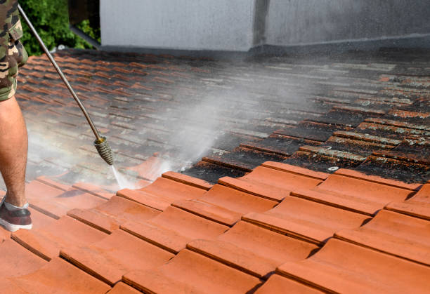 Best Roof Power Washing Services  in Bellwood, IL