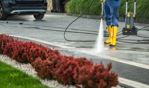 Best Roof Pressure Washing  in Bellwood, IL